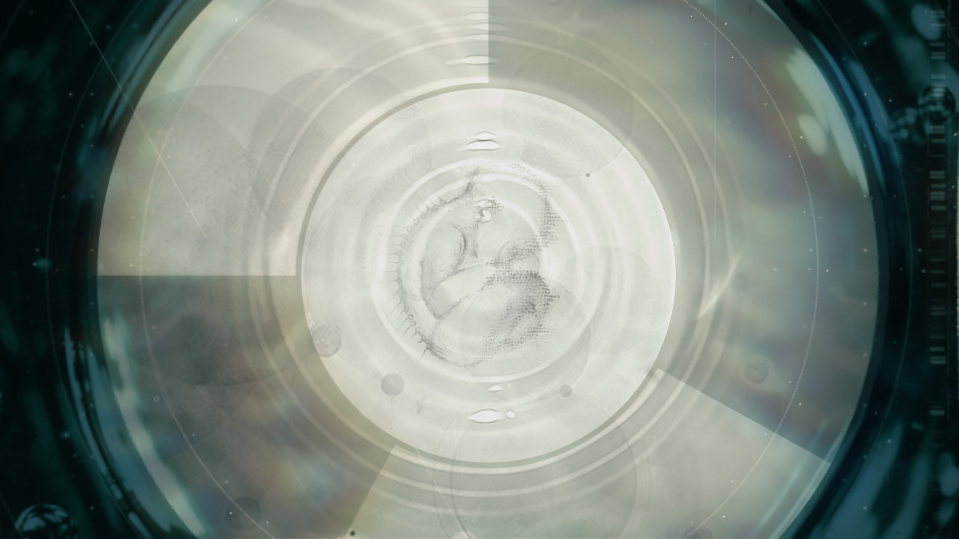 Extrapolations Earth Reveal_04_v001